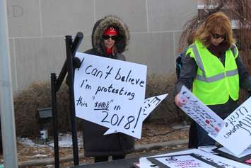 Some signs didn't mince words at the Women's March in Windsor January 20, 2018. (Photo by Adelle Loiselle)