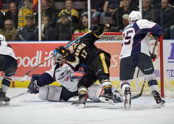 The Windsor Spitfires take on the Sarnia Sting, March 23, 2018. (Photo courtesy of Metcalfe Photography)