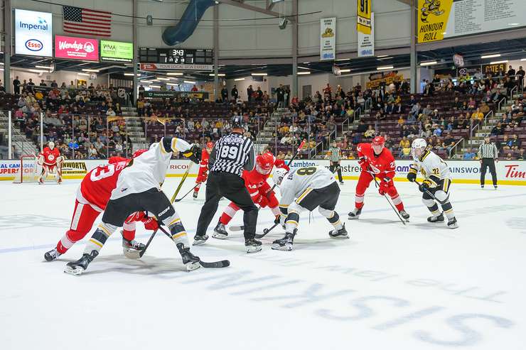 Sarnia Sting vs the Soo Greyhounds, October 6, 2024. Photo by Metcalfe Photography. 