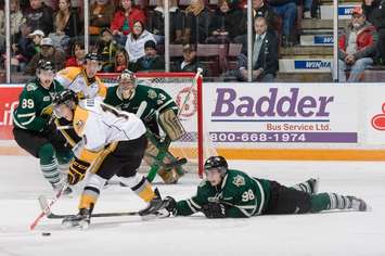 The London Knights take on the Sarnia Sting, December 31, 2014. (Photo courtesy of Metcalfe Photography)