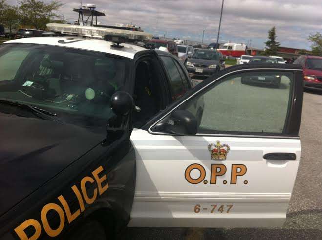 Man faces several charges after disturbance in Mount Forest
