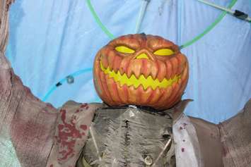 The 6th edition of Reaper's Gate Haunted Backyard Maze is put on at 3150 California Ave. in Windsor in support of Street Help. Photo taken October 21, 2016. (Photo by Ricardo Veneza)