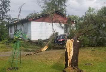 Tree sheered off near Waterford June 13, 2018 (photo courtesy of OPP)