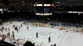 Teddy Bear Toss Dec 3, 2017. BlackburnNews.com photo by Stephanie Chaves.