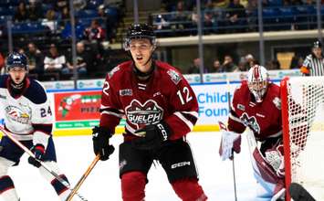Sasha Pastujov of the Guelph Storm. Photo by Natalie Shaver/OHL Images