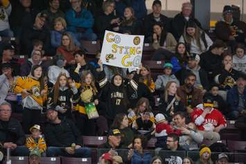 Sting fans cheer on their team against the visiting Flint Firebirds. 20 February 2023. (Metcalfe Photography)