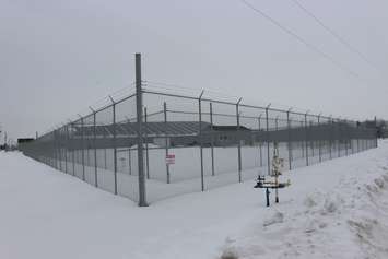 BlackburnNews.com file photo of CEN Biotech in Lakeshore on Manning Rd. and North Rear Rd. on February 24, 2015. (Photo by Jason Viau)