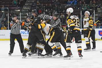 The Sarnia Sting host the Hamilton Bulldogs. 15 March 2023. (Metcalfe Photography)