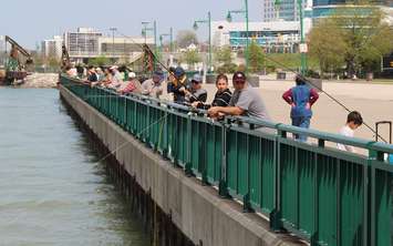 A crowd fishing along the Detroit River at the foot of Ouellette Ave. downtown Windsor. (Photo by Mike Vlasveld)