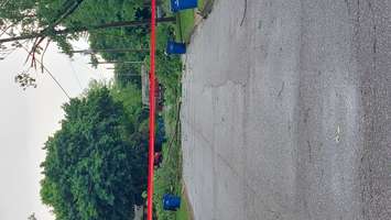 Downed trees in Chatham-Kent following June 1, 2022 storm. (Photo via Dave Palmer)