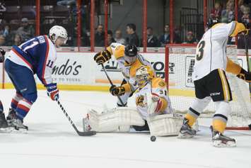 The Sarnia Sting take on the Windsor Spitfires, January 31, 2016. (Photo courtesy of Metcalfe Photography)