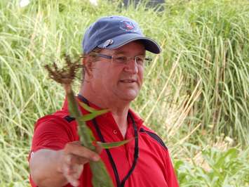 University of Guelph Ridgetown Campus researcher Doug Young discusses plant root structure on a test plot tour at the campus. (Photo by Simon Crouch)