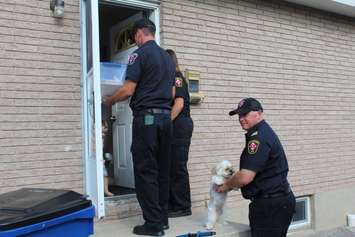 Chatham-Kent firefighters going door-to-door on Timmins Cres., during their post fire reassurance initiative. September 6, 2016. (Photo by Natalia Vega)