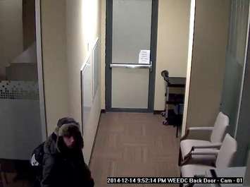 A photo of a suspect wanted after a break-and-enter at the Windsor Essex Economic Development Corporation.  (Photo courtesy of Windsor Police Services.)