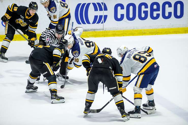 Sarnia Sting at home against the Erie Otters February 9, 2024. (supplied by: Metcalfe Photography)