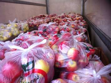 Bags of apples donated by Thiessen Orchards. November 2014 (Photo by Kevin Black.)