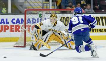 Sarnia Sting goalie Patrick Quinlan (Photo courtesy of Metcalfe Photography)