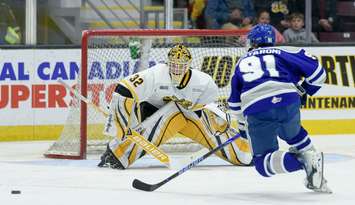 Sarnia Sting goalie Patrick Quinlan (Photo courtesy of Metcalfe Photography)