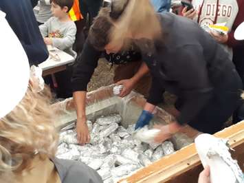 A bucket of warm corn on the cob. September 22, 2018. (Photo by Natalia Vega).