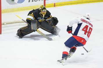 Sarnia Sting goaltender Ben Gaudreau prepares for a shot from Windsor's Alex Christopoulos.  26 April 2022. (Metcalfe Photography)