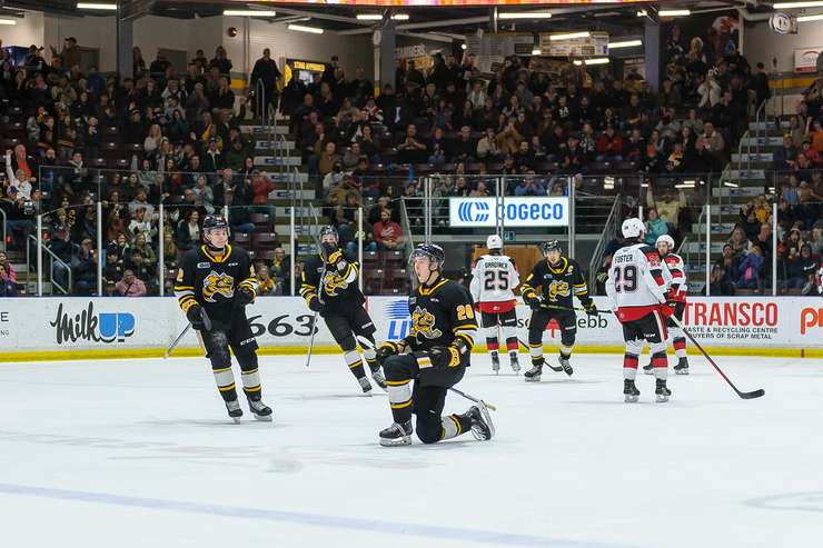 Sarnia Sting at home to the Ottawa 67's February 2, 2024. Photo by Metcalfe Photography. 