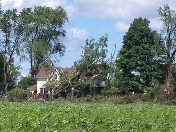House north of the OPP station in Teviotdale buried under debris. (Photo by Steve Sabourin)