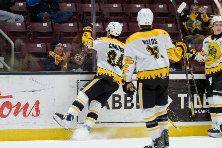 Flint Firebirds at Sarnia Sting, February 4, 2026. Photo by Metcalfe Photography. 