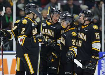 Sting players celebrate a goal in a 5-1 win over London. February 3, 2018. (Photo courtesy of Metcalfe Photography)