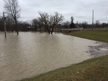 Flooding at Petrolia Discovery. February 21, 2018 (Photo by Melanie Irwin)