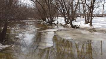 Ice melting on watercourses in Chatham-Kent (Photo by Jake Kislinsky).