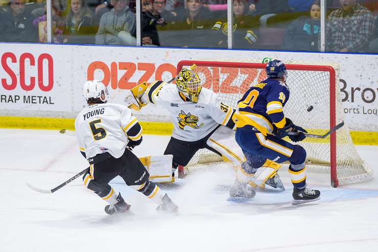 Erie Otters visit Sarnia Sting on Sunday Nov 5, 2023. Photo by Metcalfe Photography. 