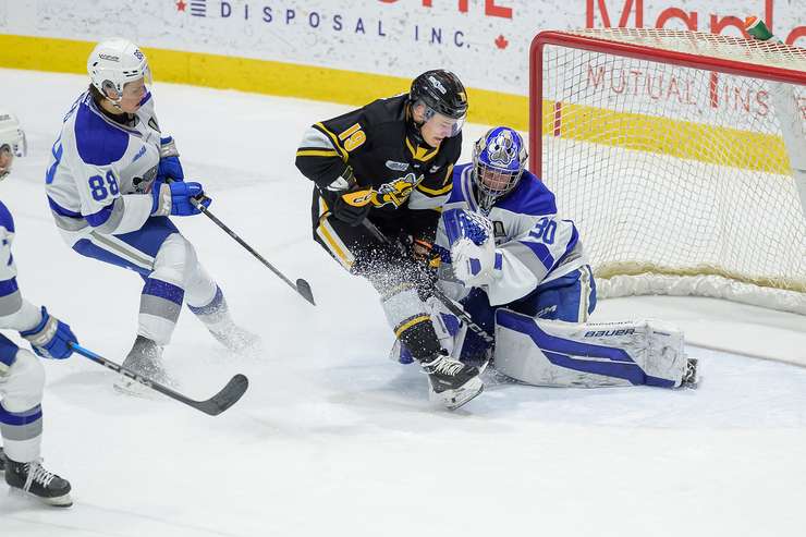 Sarnia Sting home to Sudbury, Jan 18, 2025. Photo by Metcalfe Photography. 