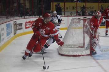 The Windsor Spitfires lose 2-4 against the Sault Ste Marie Greyhounds on November 16, 2014 at the WFCU Centre. (Photo by Jason Viau)