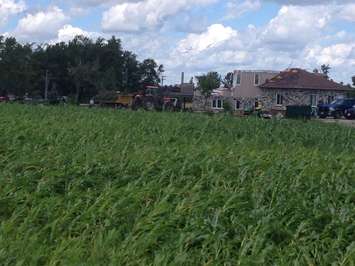 Community comes together to help clean up near Teviotdale (Photo by Steve Sabourin)