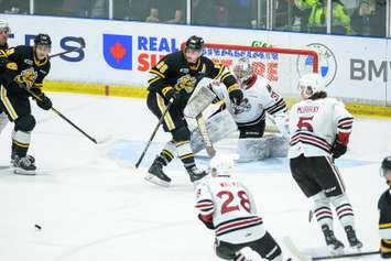 The Sarnia Sting hosting the Guelph Storm in Game 2 of the opening round playoff matchup. 2 April 2023. (Metcalfe Photography)