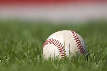 Baseball sitting in grass. © Can Stock Photo Inc. / Stevemc