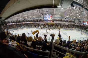 Hear from the fans as Knights win opening OHL final game