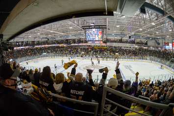 London Knights practice for next season at mini camp