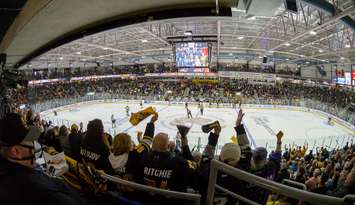 Fans at PASA celebrate a goal against the London Knights - May 3/23 (Photo courtesy of Metcalfe Photography)