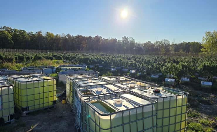 (Photo of illicit cannabis growing operation on the Tyendinaga Mohawk Territory courtesy of the Ontario Provincial Police)