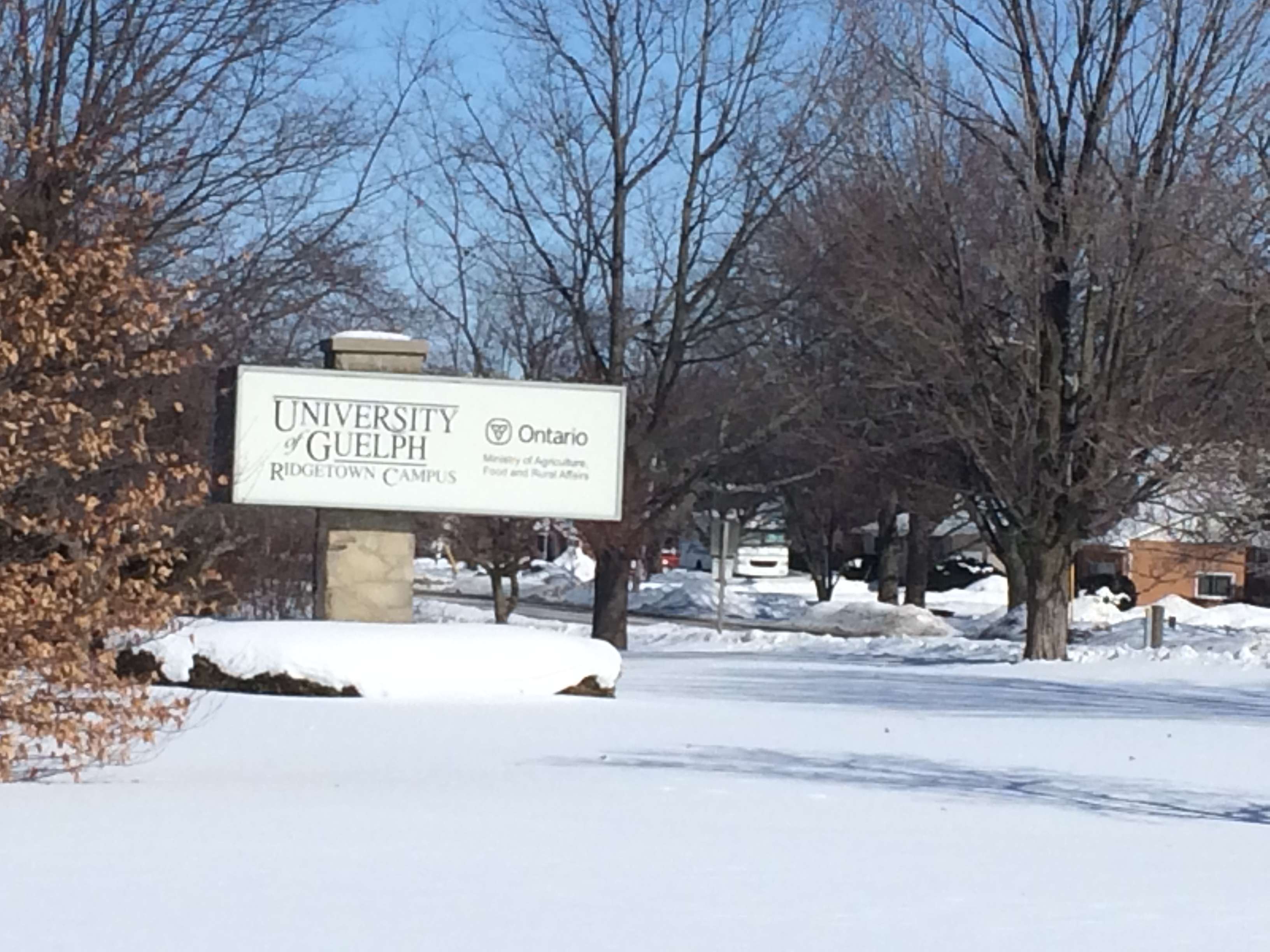 Ag conference returns to Ridgetown in January