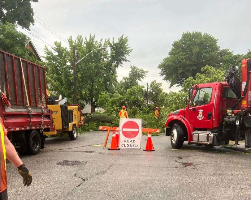 Storm downs trees, knocks out power in Sarnia