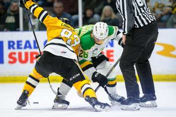 The Sarnia Sting taking on the London Knights. 18 February 2023. (Metcalfe Photography)