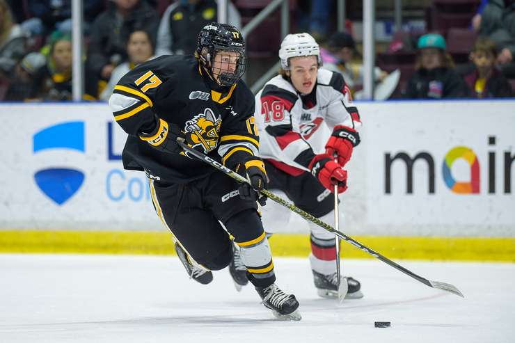 Sarnia Sting at home to the Ottawa 67's February 2, 2024. Photo by Metcalfe Photography. 