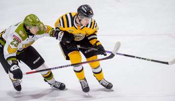 Sarnia Sting host North Bay Battalion, February 25,2024. (Photo by Metcalfe Photography)