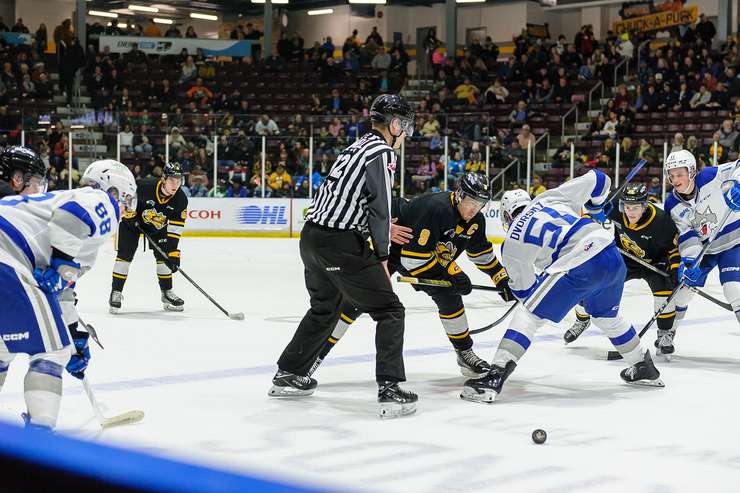 Sarnia Sting against Sudbury Wolves on January 13, 2024 (Photo by Metcalfe Photography)