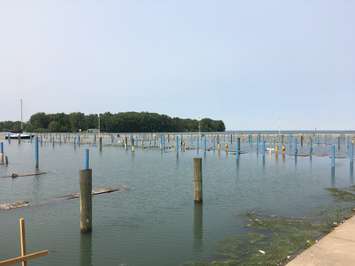 Lakeview Park Marina has been closed this season due to dangerously high water levels submerging the current wooden docks and hydro boxes. July 8, 2019. (Photo by Paul Pedro)