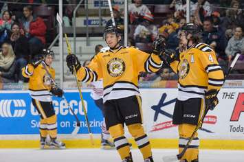 Sarnia Sting forward Jordan Kyrou celebrates a goal against Oshawa (Photo by Metcalfe Photography)