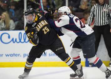 The Windsor Spitfires take on the Sarnia Sting, March 24, 2018. (Photo courtesy of Metcalfe Photography)