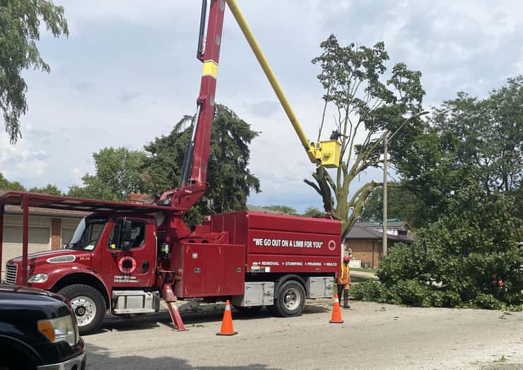 A tree removal service cuts away at trees damaged by a storm in Forest Glade, Windsor, September 3, 2026. Photo by Adelle Loiselle/WindsorNewsToday.ca.